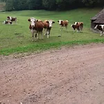Kuryhof 3* Simonswald