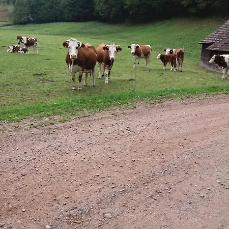 Penzion Kuryhof