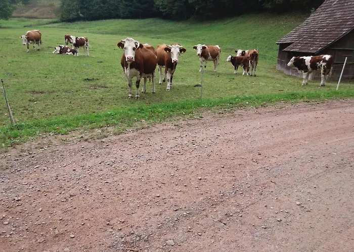 Kuryhof 3* シモンスヴァルト