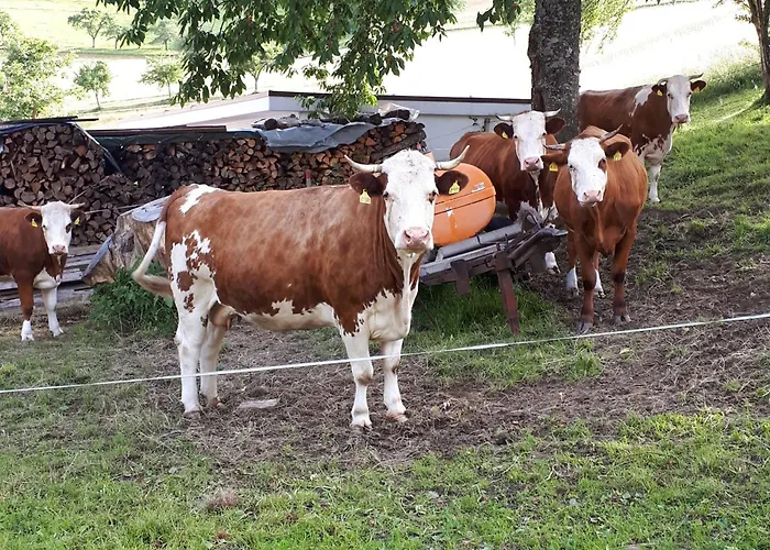 Kuryhof シモンスヴァルト